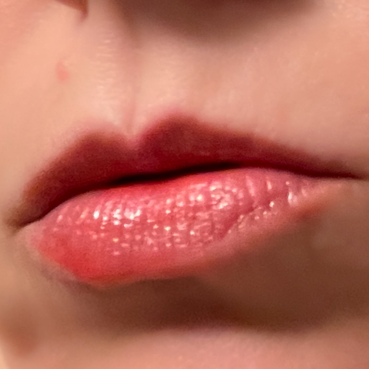 Alex Apothecary Lip Balm - The Pal