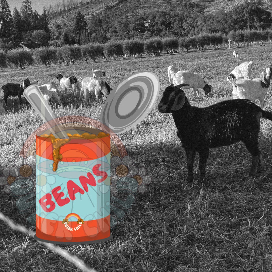 virtual can of beans