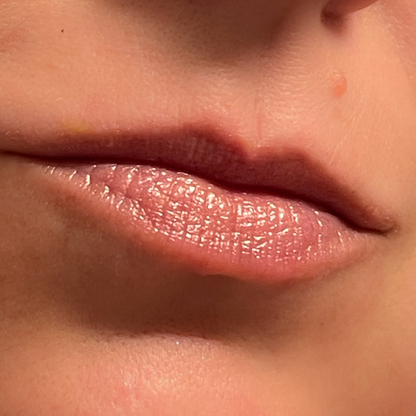 Alex Apothecary Lip Balm - The Pup
