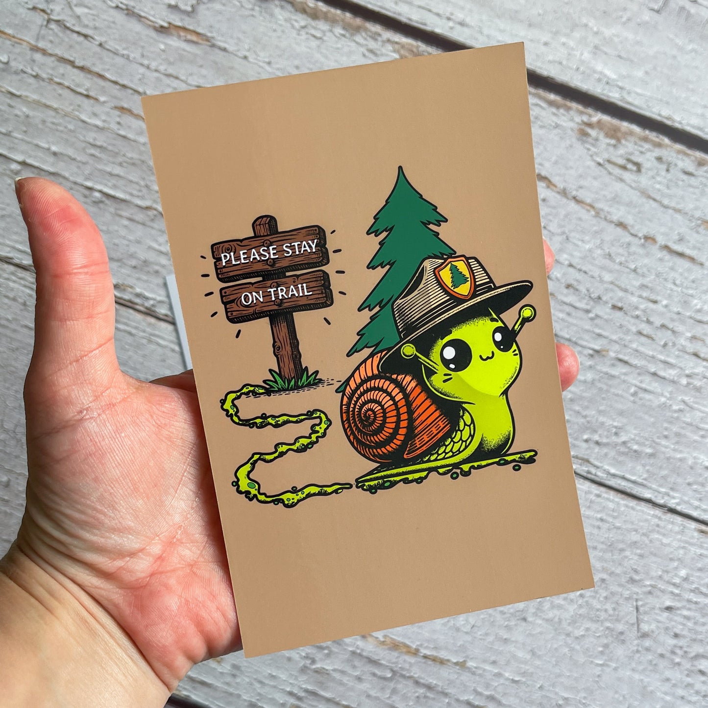 Snail Trail Postcard