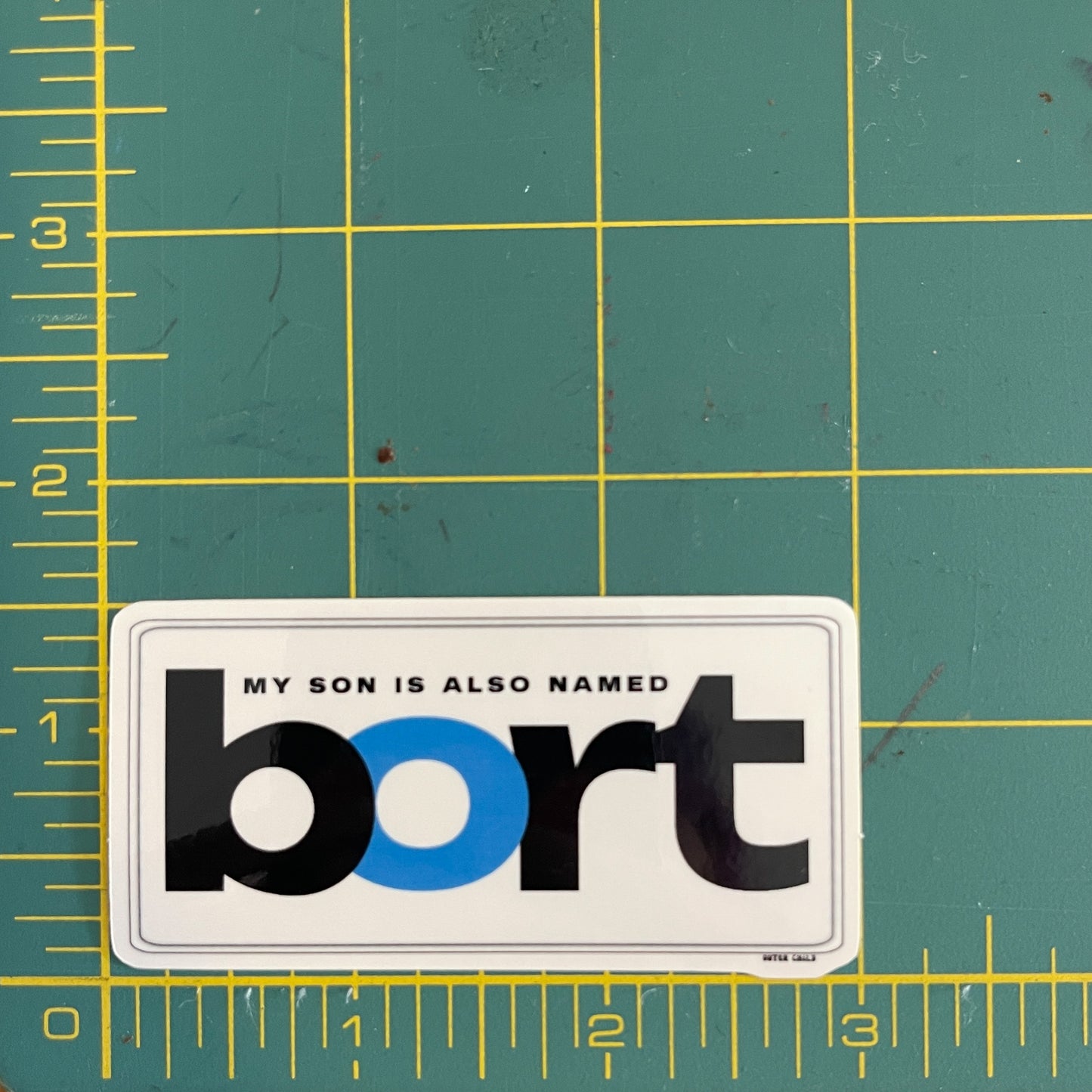 Bort Takes BART Sticker